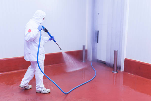 Best Graffiti Removal  in Maryville, MO