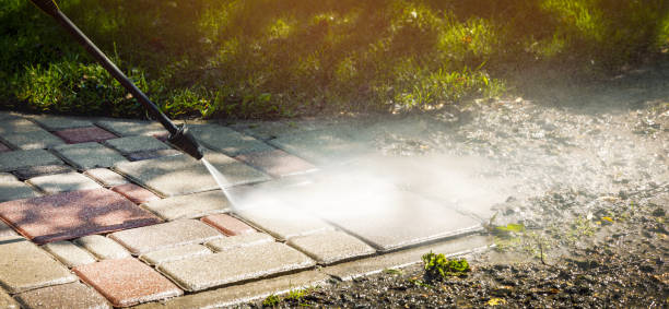 Best Animal Enclosure Cleaning  in Maryville, MO